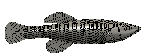 Banded Killifish Swimbait (Fishing Lure)