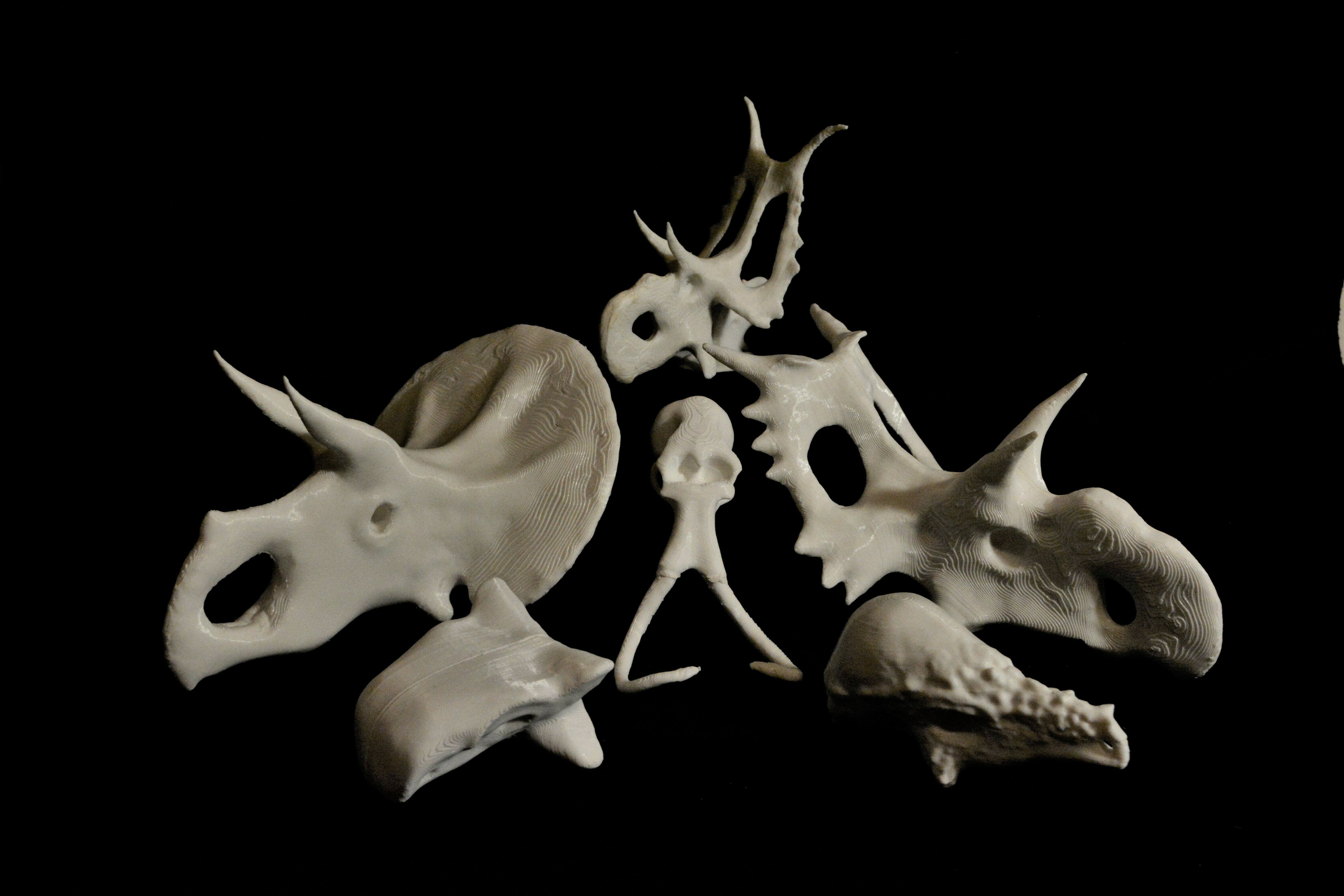Dinosaur Skulls - Bone Head Bundle by StewBrewer | Printables Store