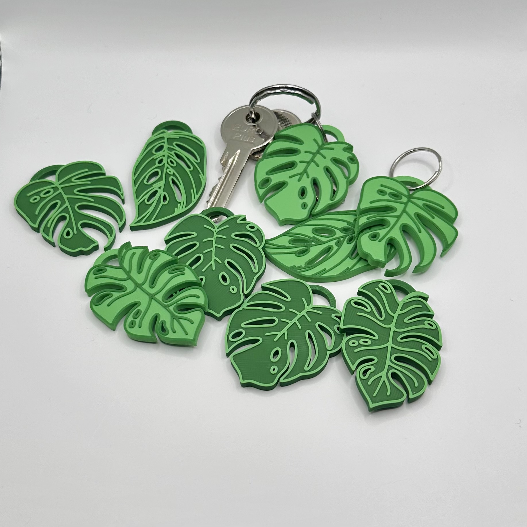 Exotic Monstera Leaf Keychain by Indibles | Download free STL model ...