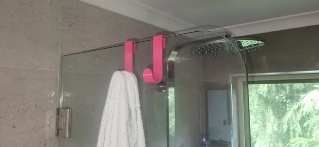 Shower Screen Hook