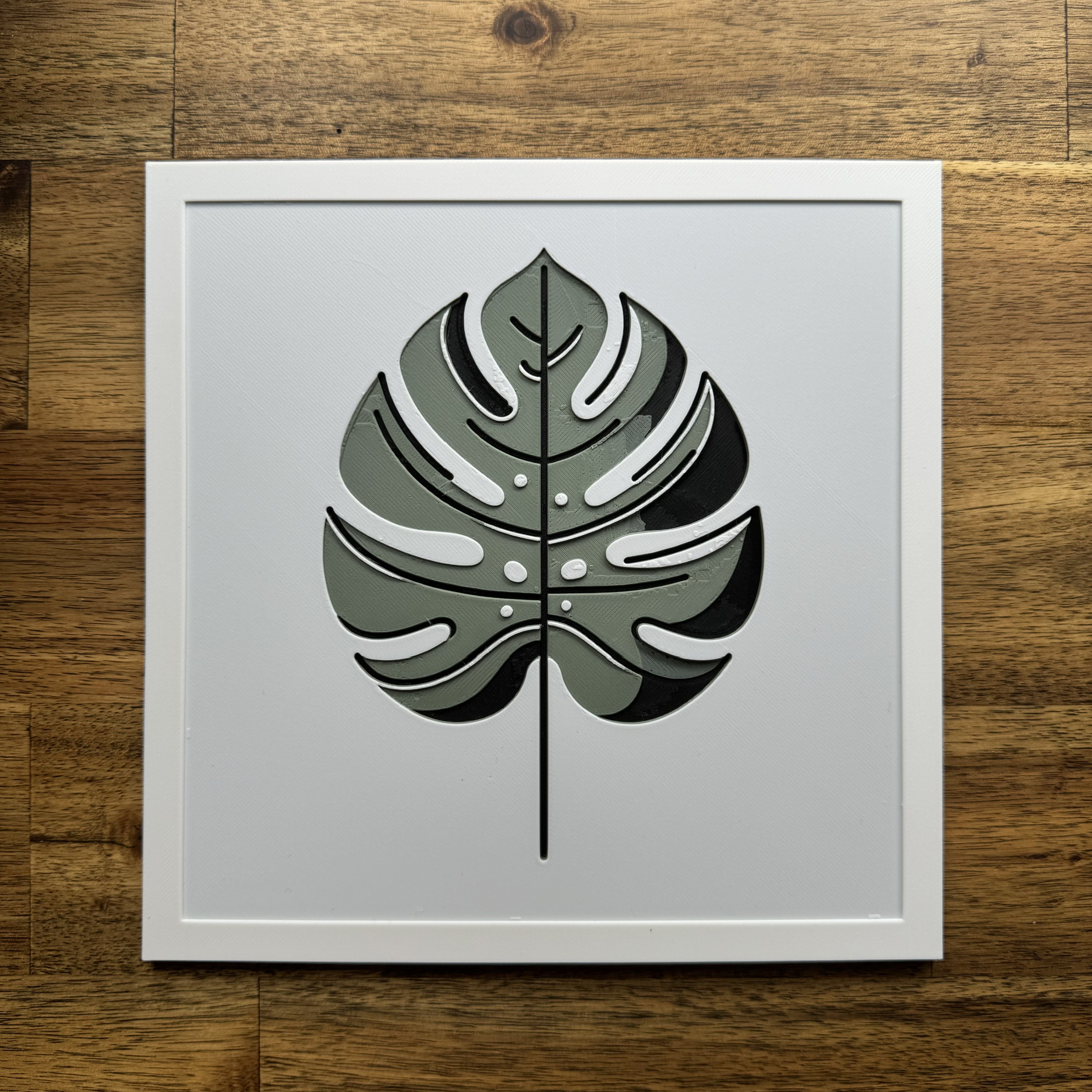 Monstera Leaf