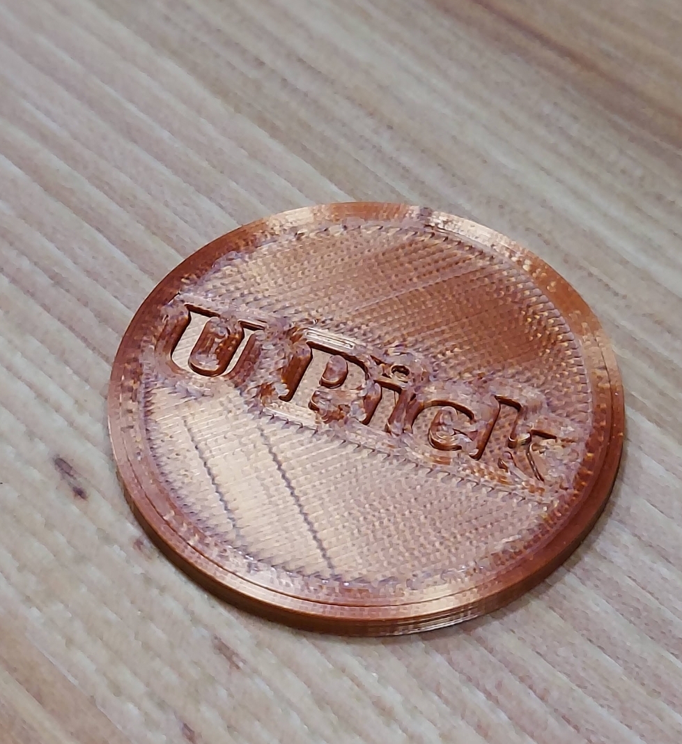 Decision maker I pick you pick coin