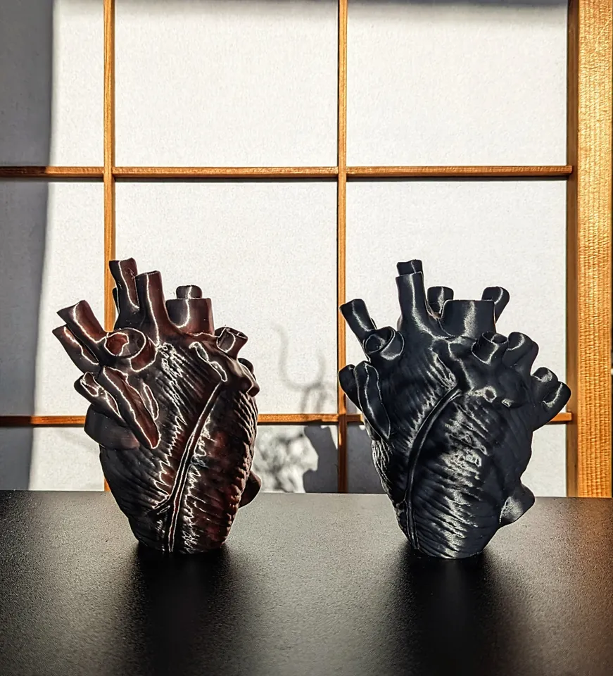 Anatomical heart - no supports needed - free standing by ...