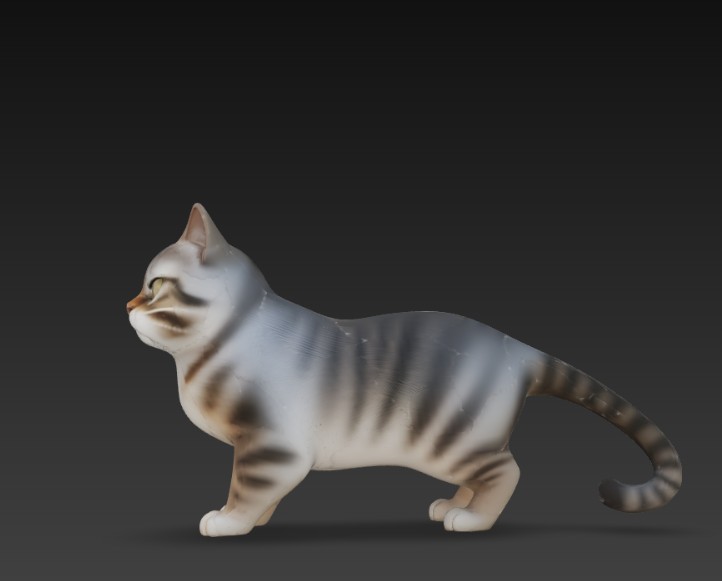 Miniatura 5 do modelo 3D angry cat