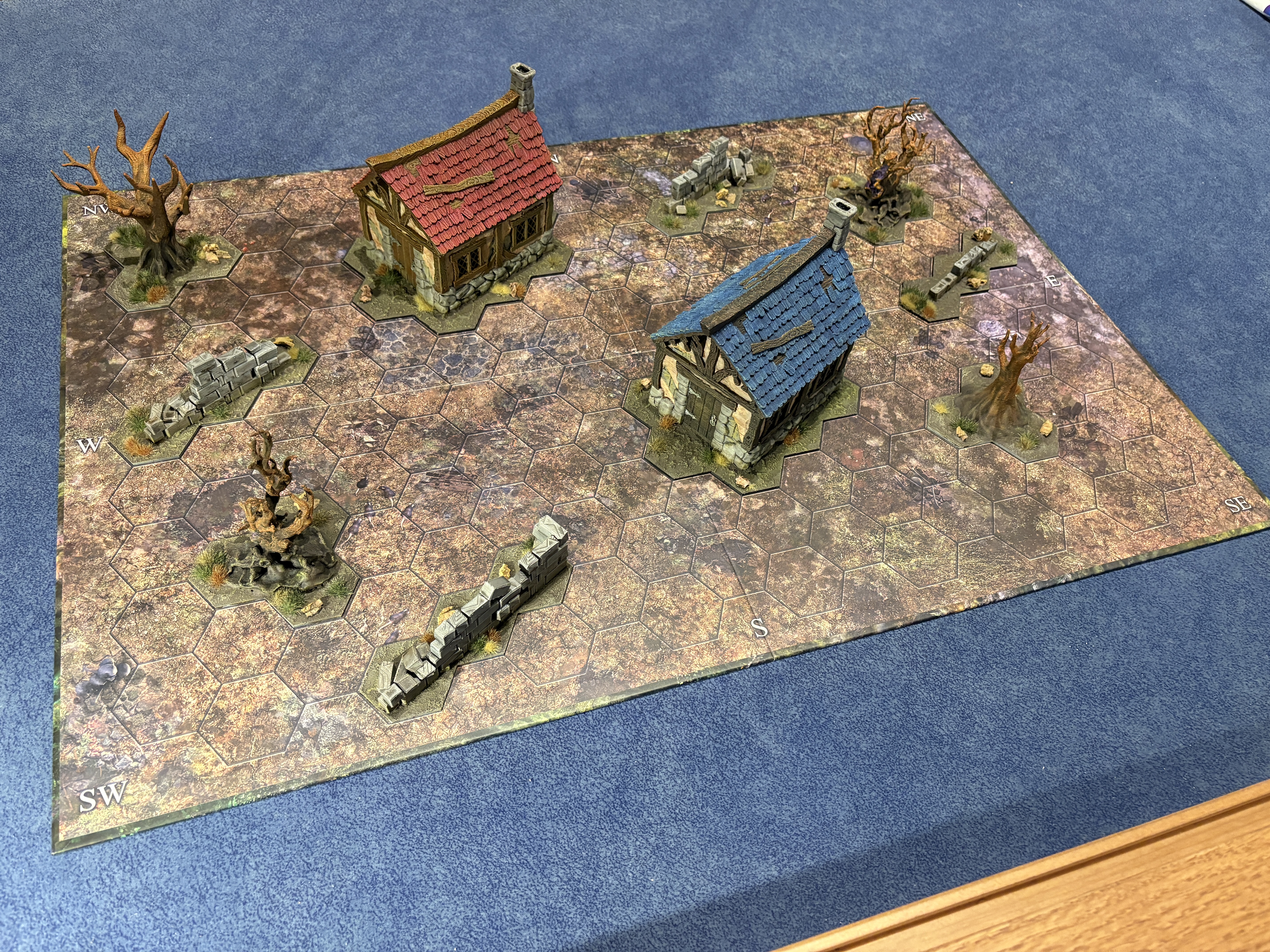Oathsworn: Into the Deepwood - terrain