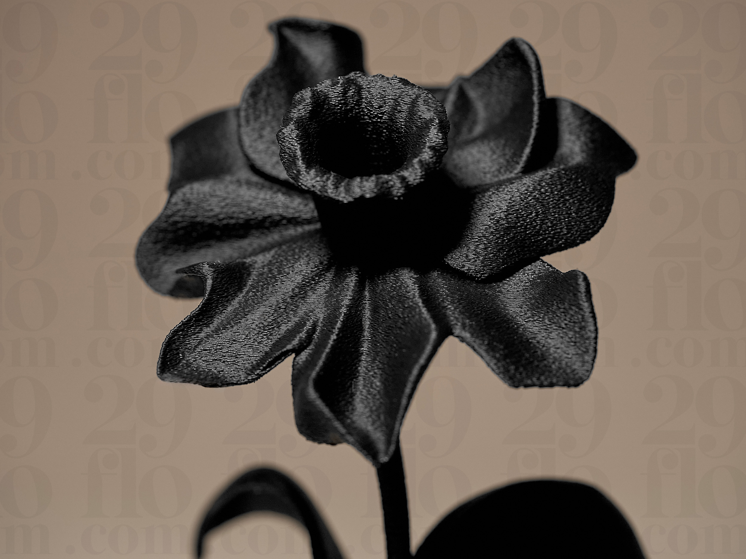 Miniatura 4 do modelo 3D DAFFODIL Decor