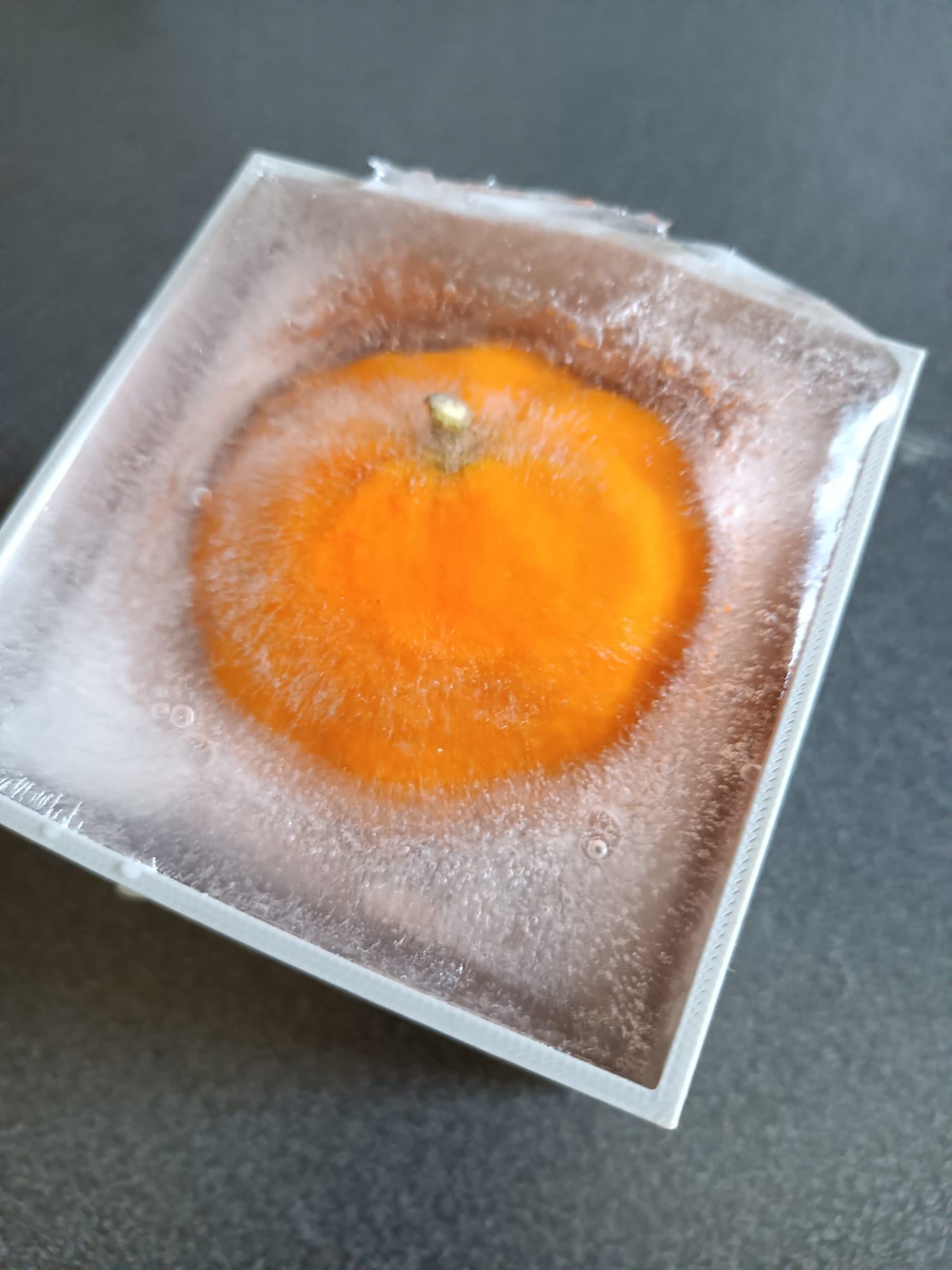 ORANGE FREEZE FORM
