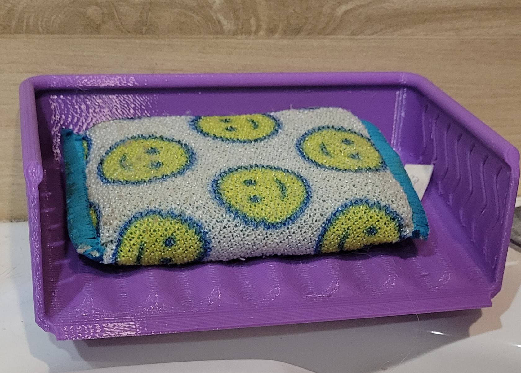 Sponge Dish