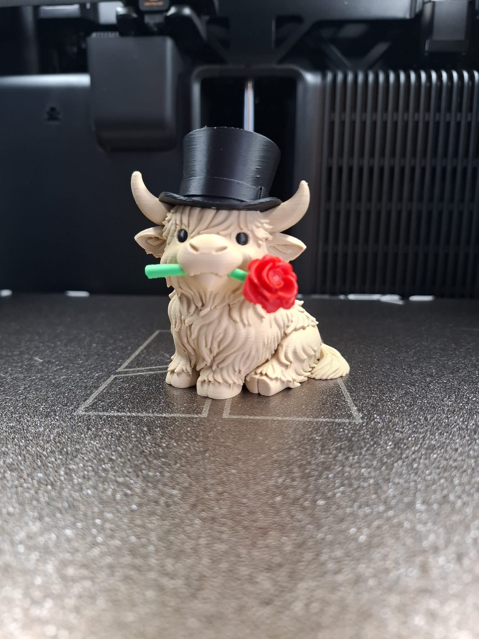 Valentine Highland Cow – Gentleman Edition