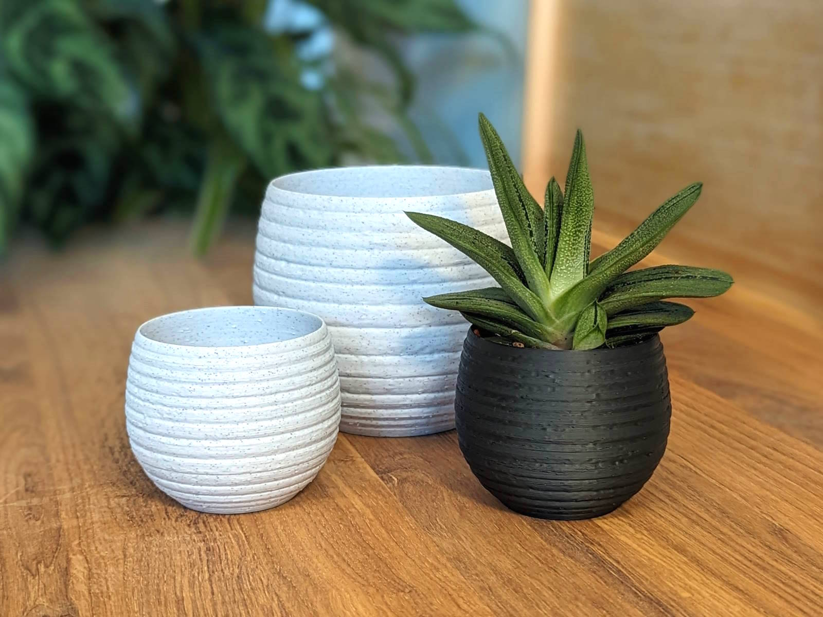 Carved Honeypot Planter