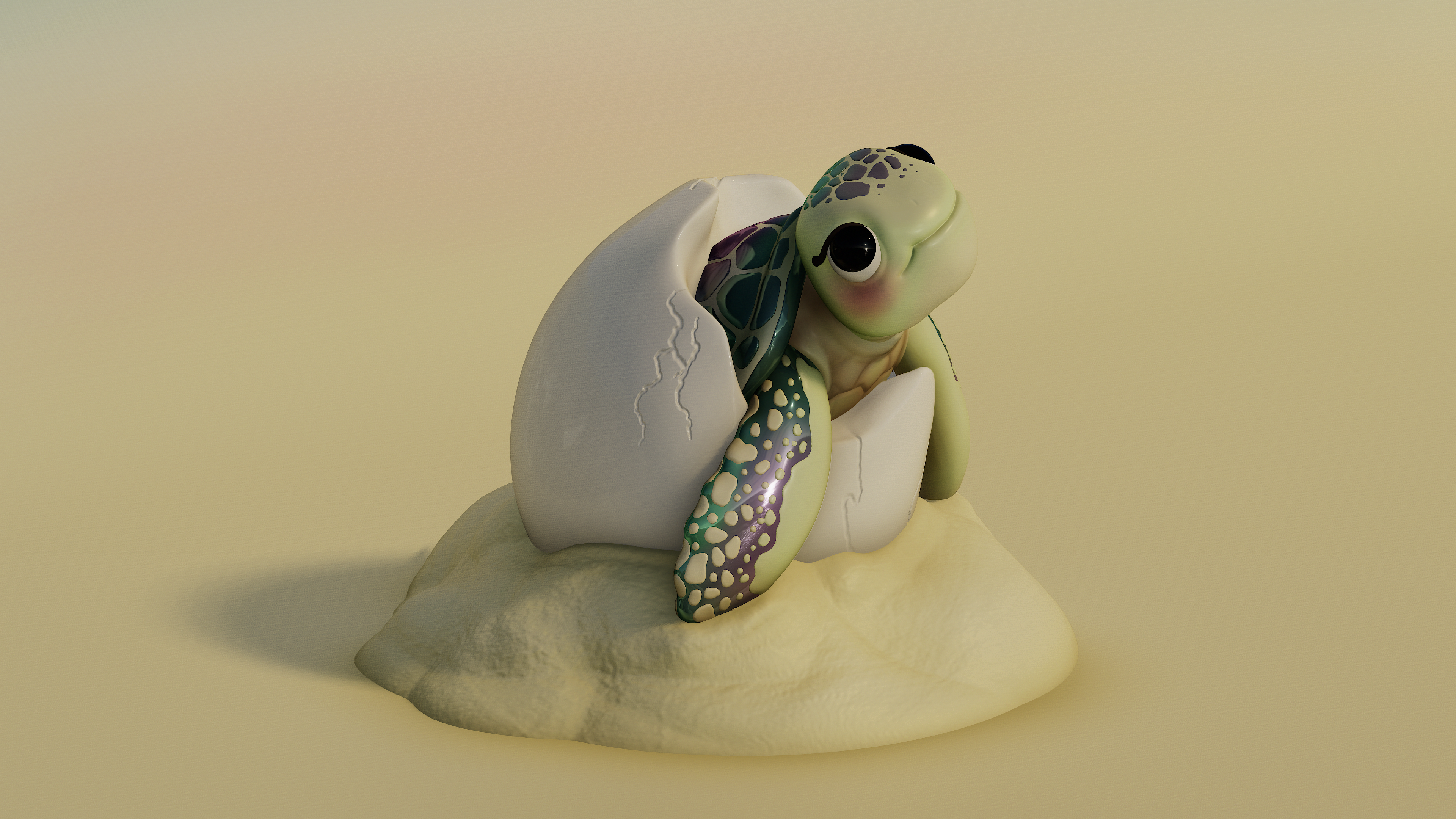 Baby Turtle