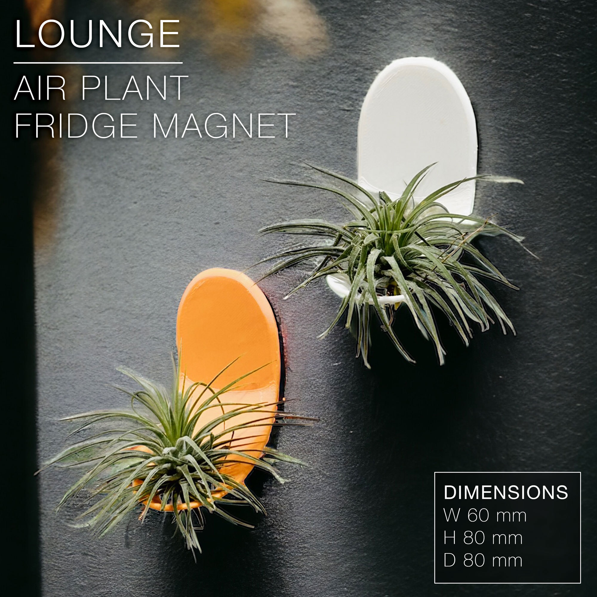 LOUNGE Air Plant Holder Fridge by quantum9 MakerWorld