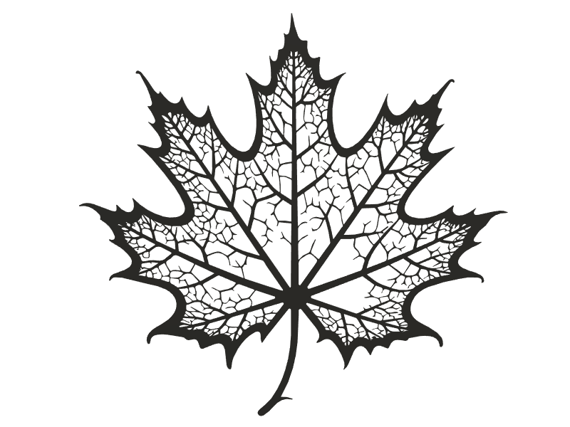 Miniatura 2 do modelo 3D Maple Leaf