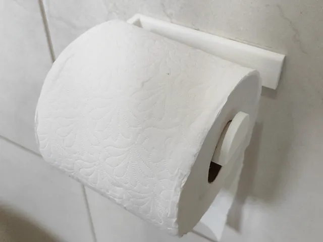 Toilet Paper Holder