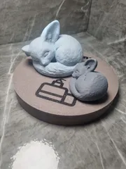 Sleeping Fennec Fox