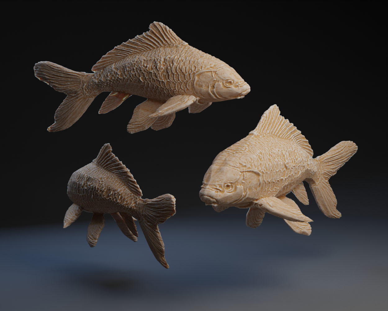 Koi Fish by Peter Farell | Download free STL model | Printables.com