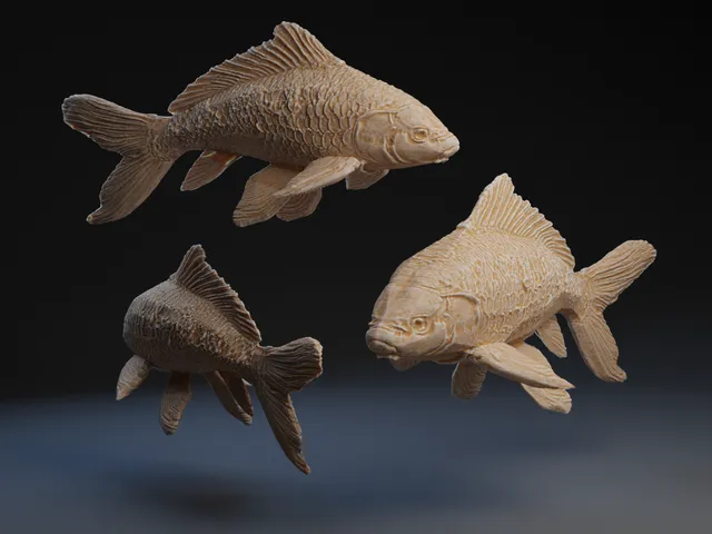 Koi Fish