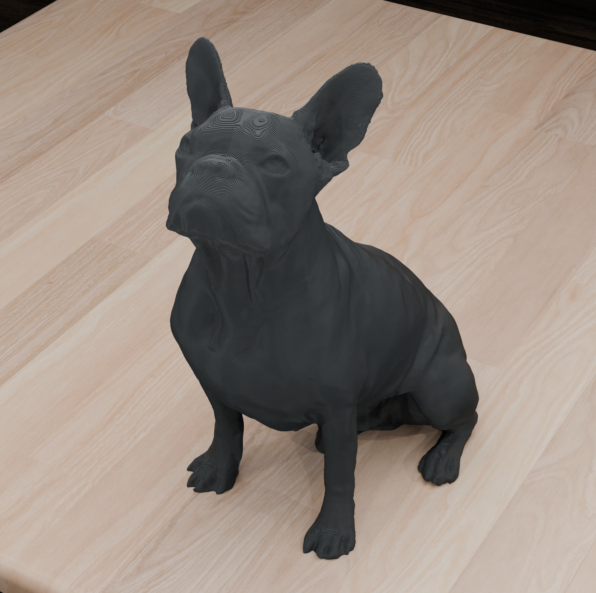 French Bulldog