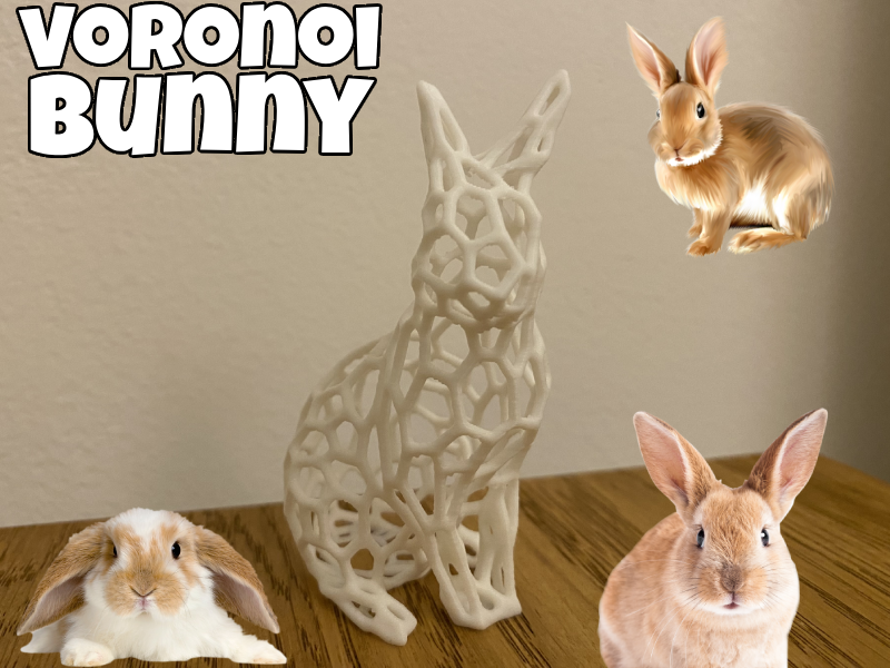 Voronoi Bunny
