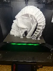 Halloween Skull