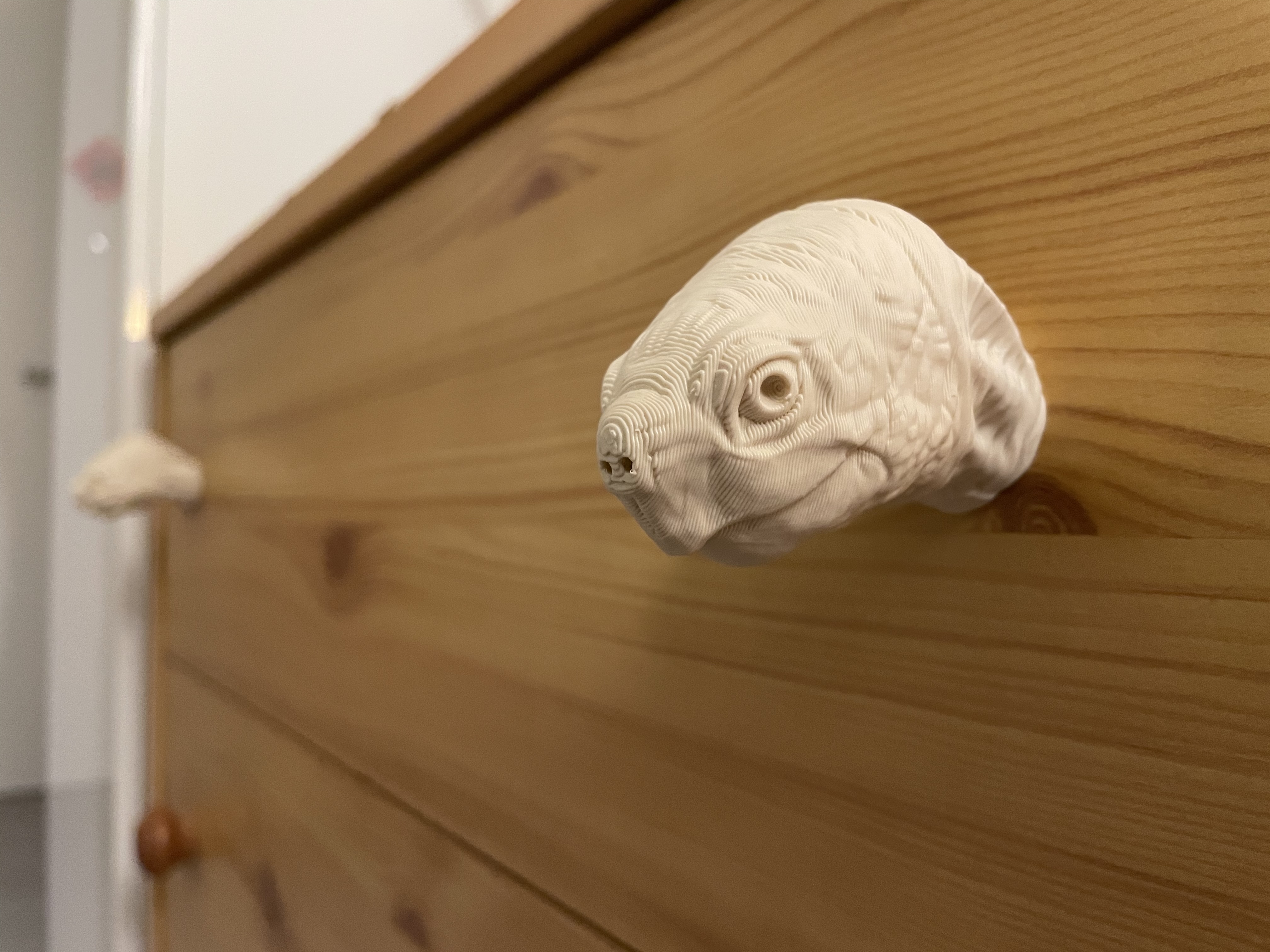 Turtle head knob for dresser