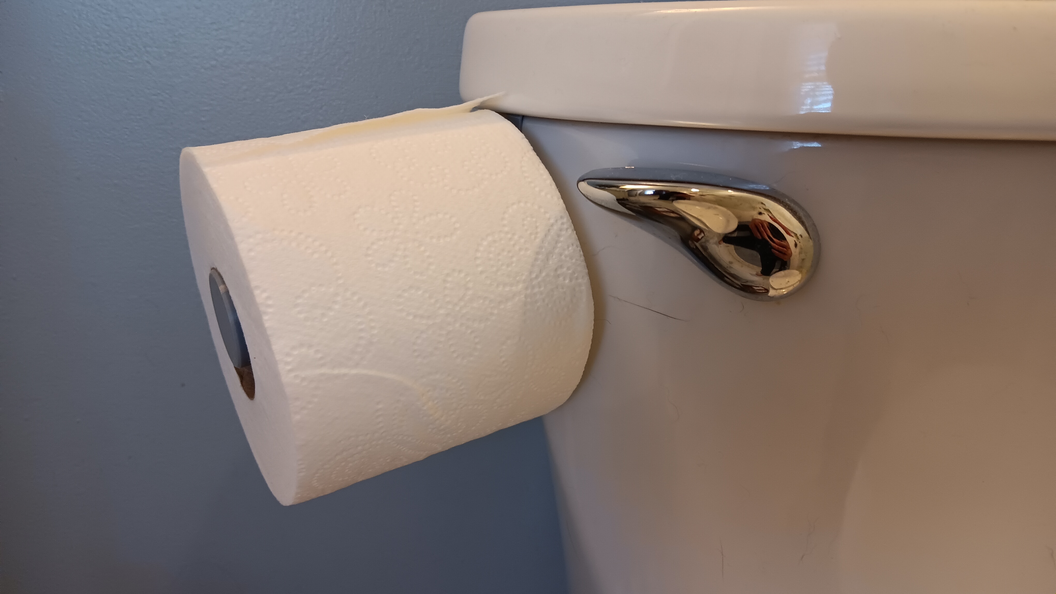 Backup toilet paper roll holder by Aaron C | Download free STL model ...