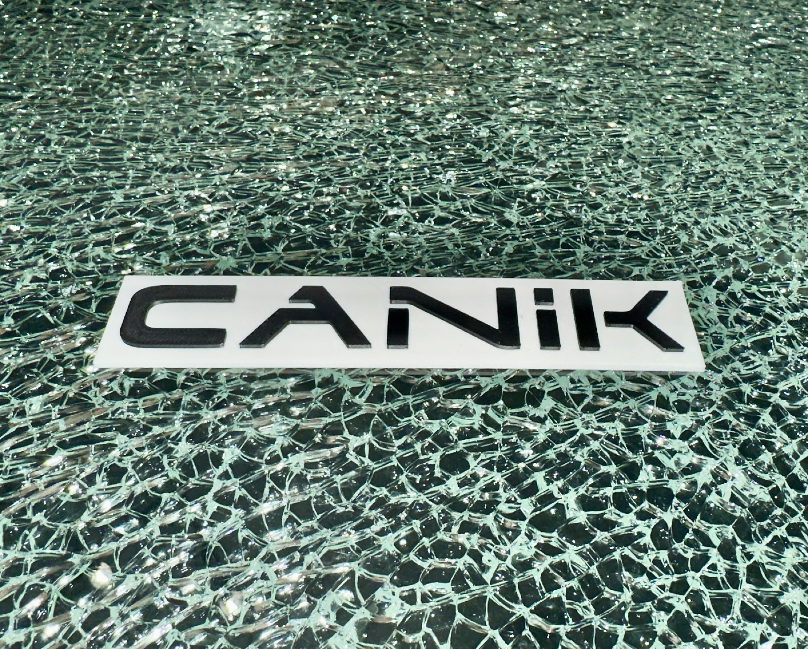 Canik Logo