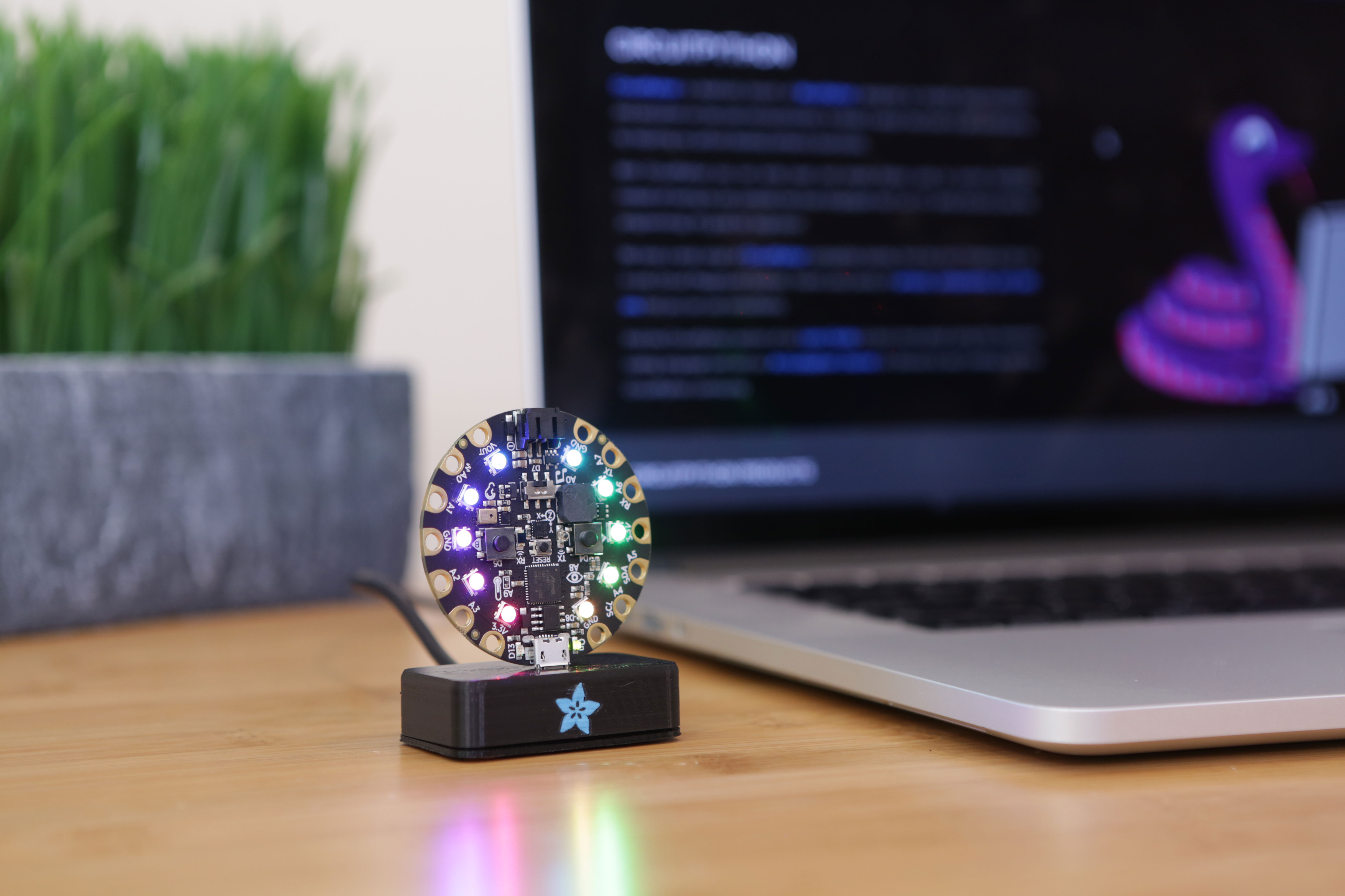 Csl Sound Box Rund Circuit Playground Sound Box by Adafruit | Download free STL model ...