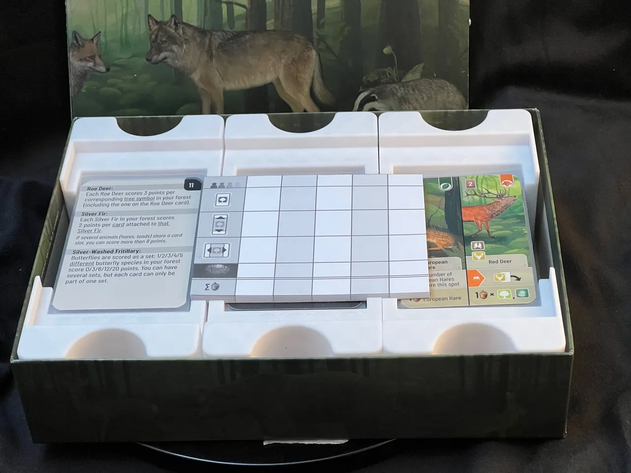 Forest Shuffle Insert (Supports sleeves) by Galeswift | Download free STL  model | Printables.com