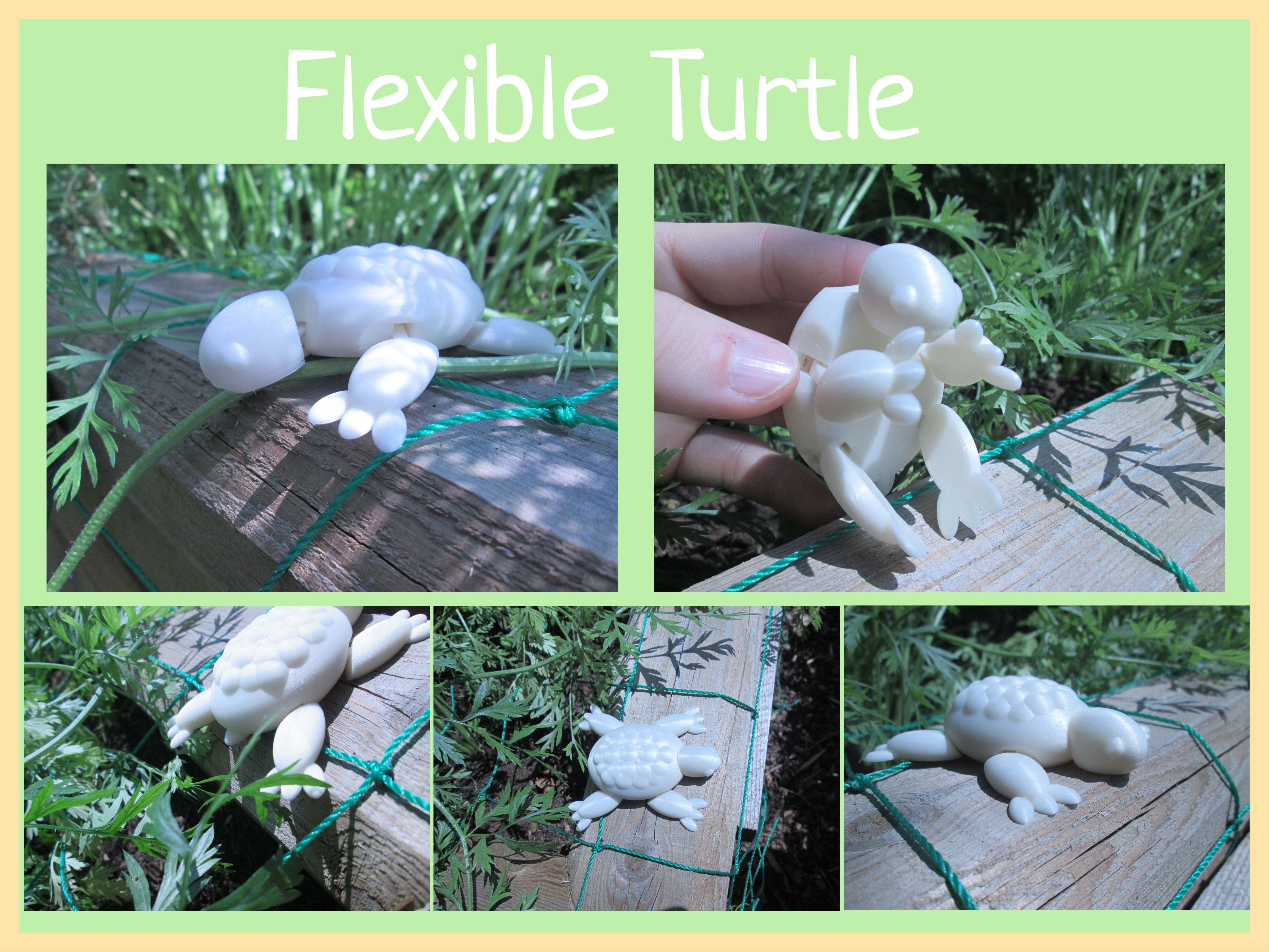 Flexible Turtle