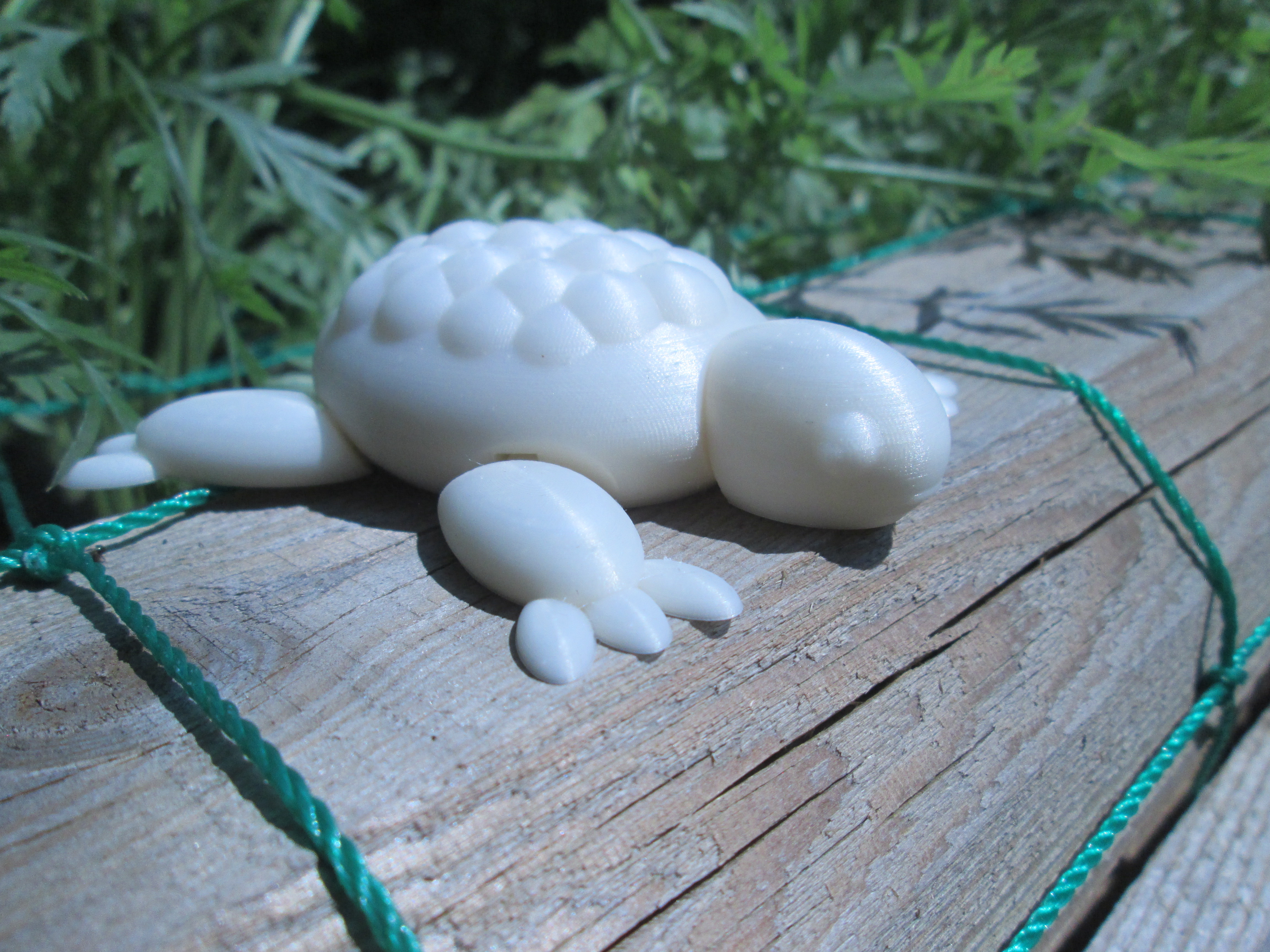 Miniatura 2 do modelo 3D Flexible Turtle