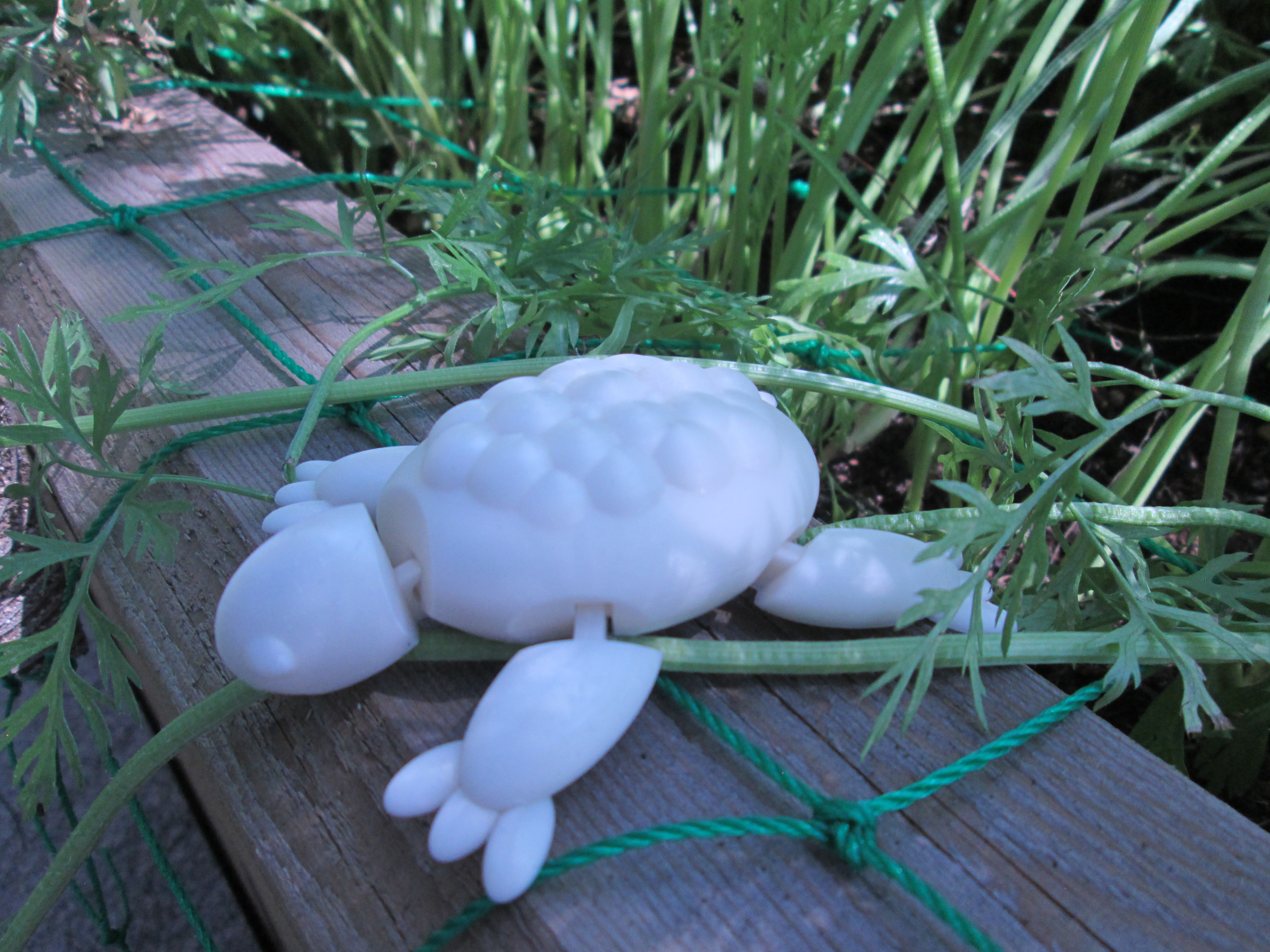 Miniatura 4 do modelo 3D Flexible Turtle