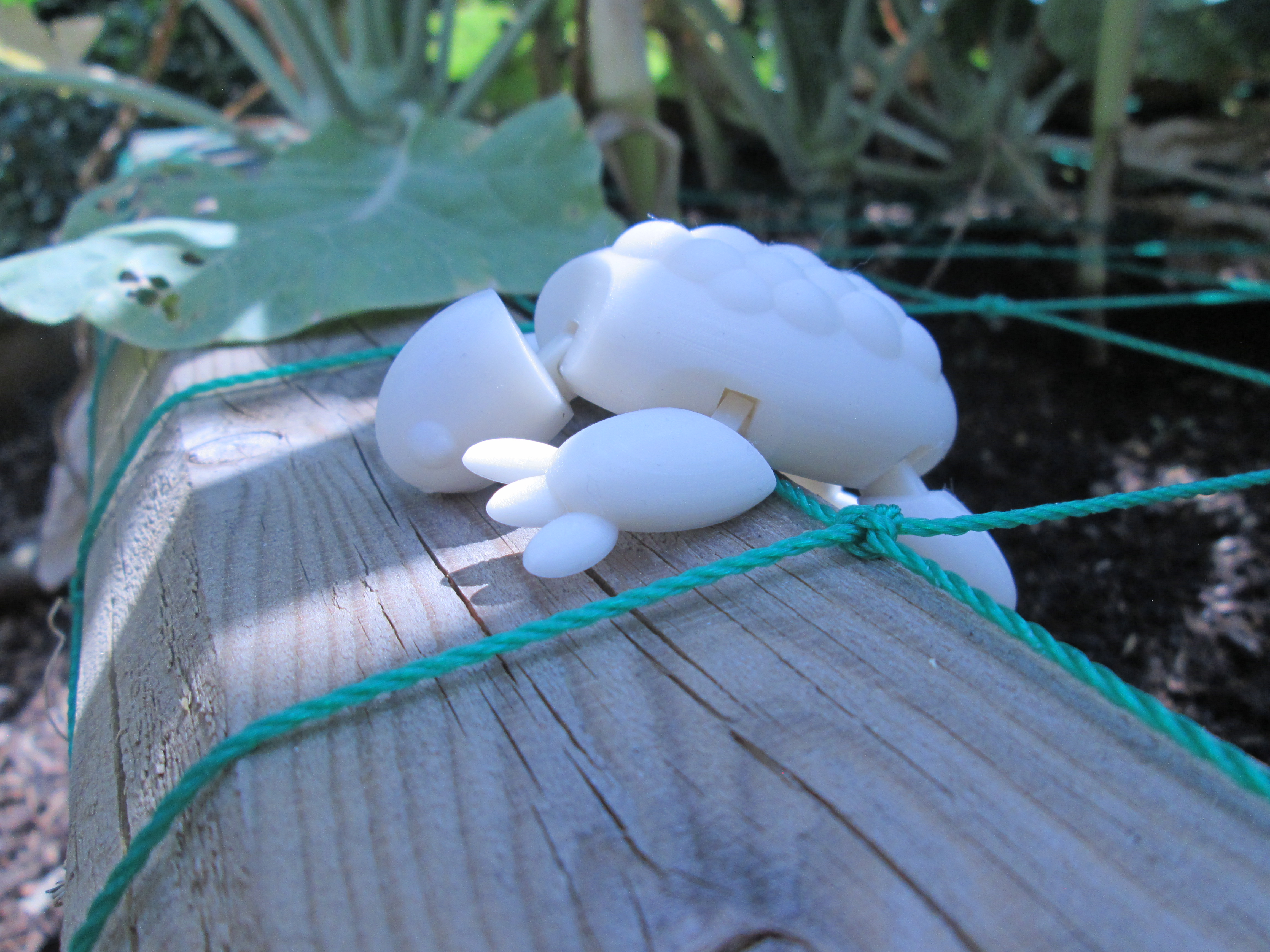 Miniatura 5 do modelo 3D Flexible Turtle
