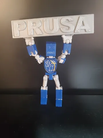 Lucky13 Robot with School Logo