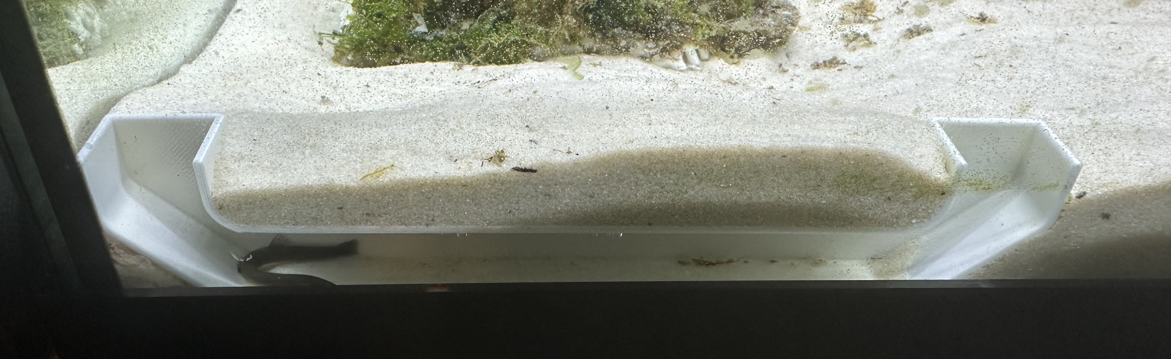 Long Aquarium Viewing Cave