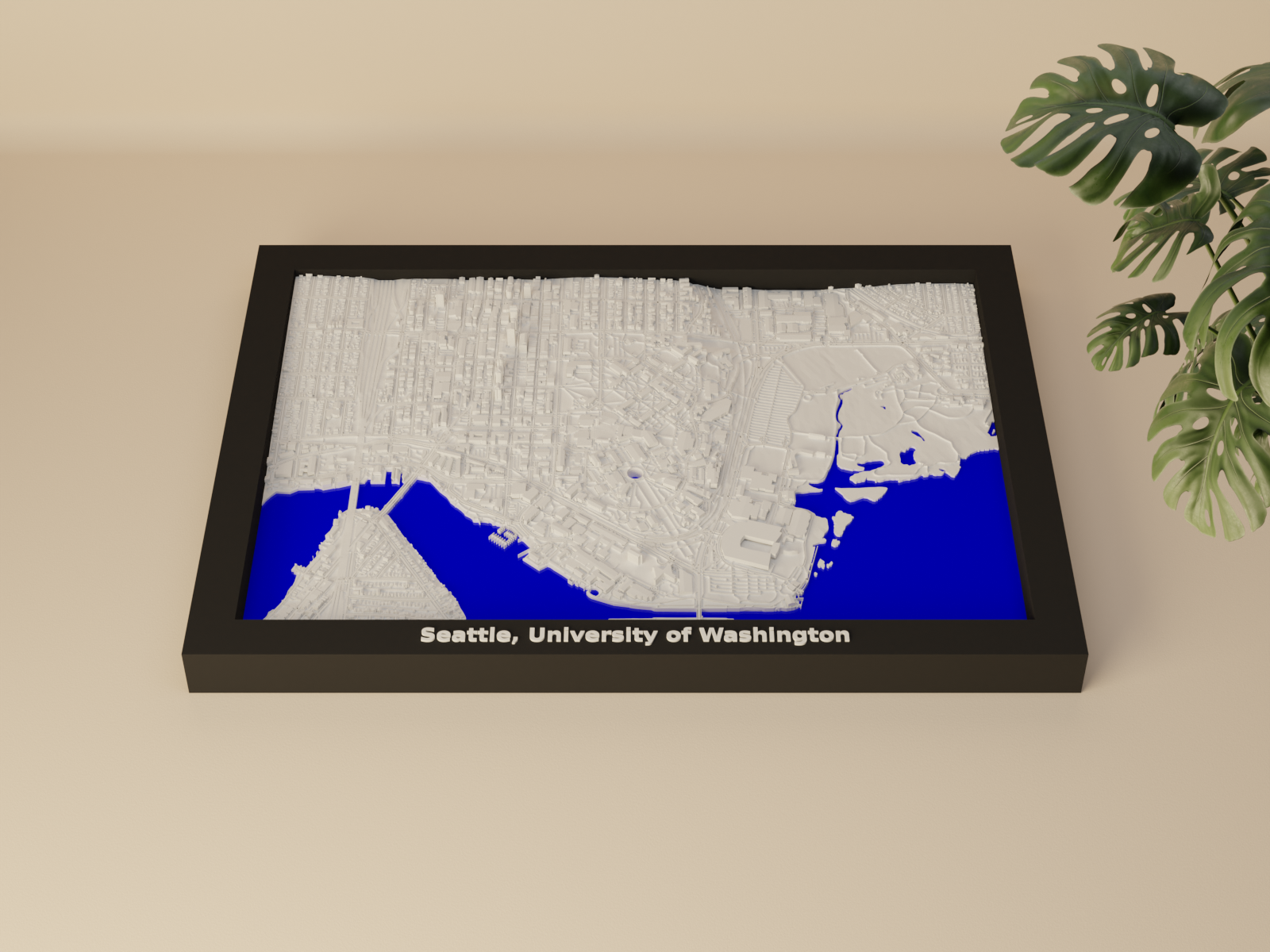 Seattle, University of Washington, United States - 3D Miniature