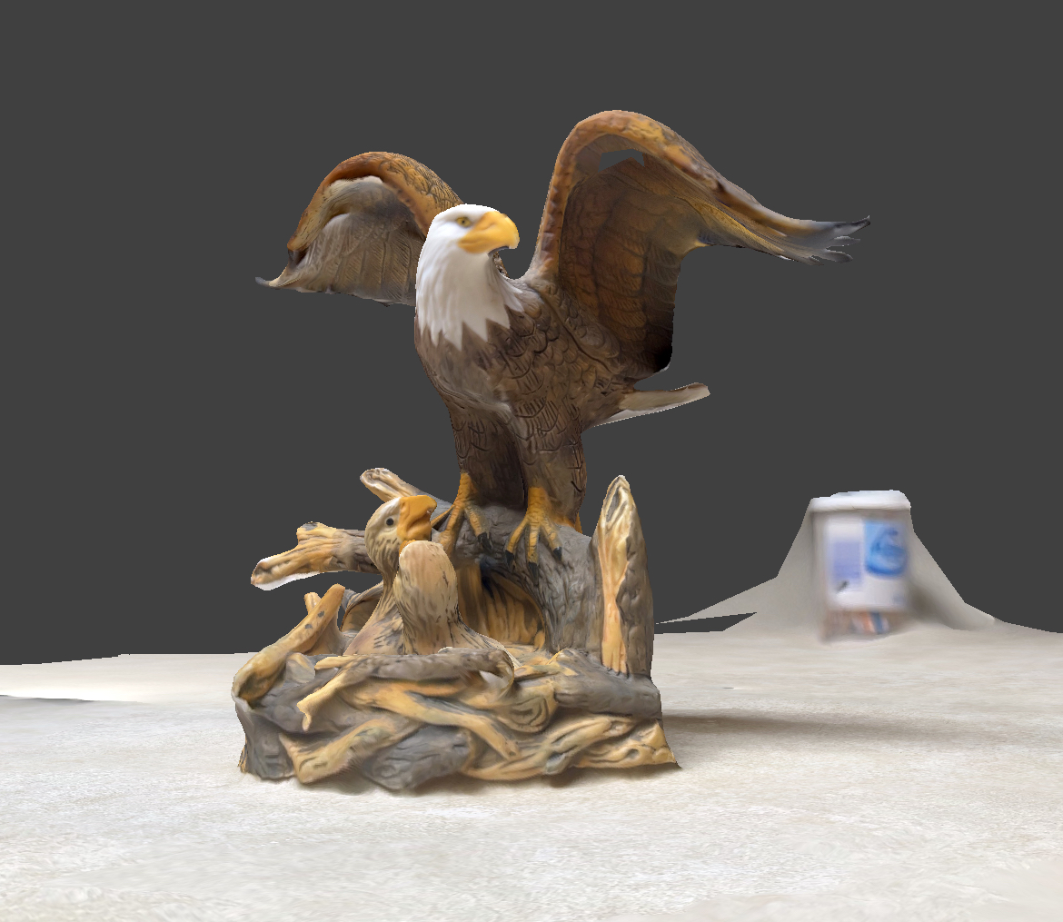 Eagle Feeding Chicks in nest - scan-PRINTABLE!