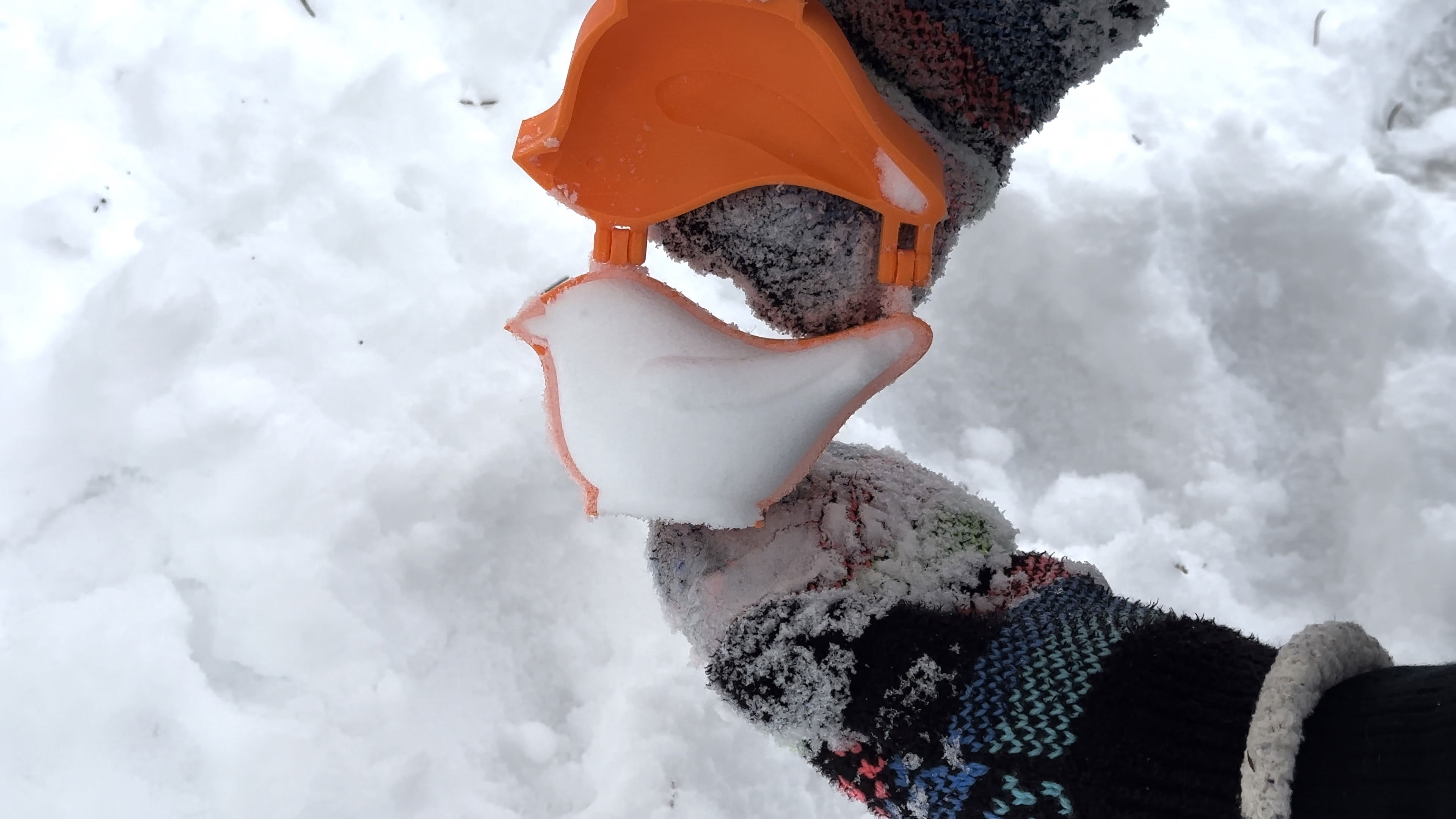 Snow Bird Mold