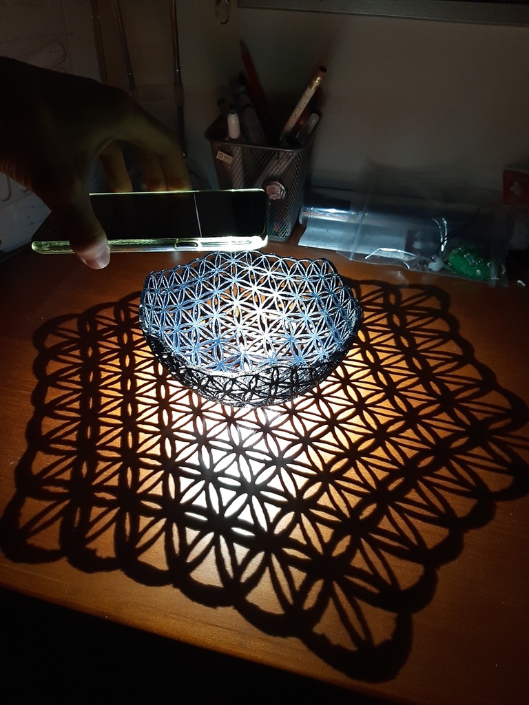 Flower of life Stereographic projection