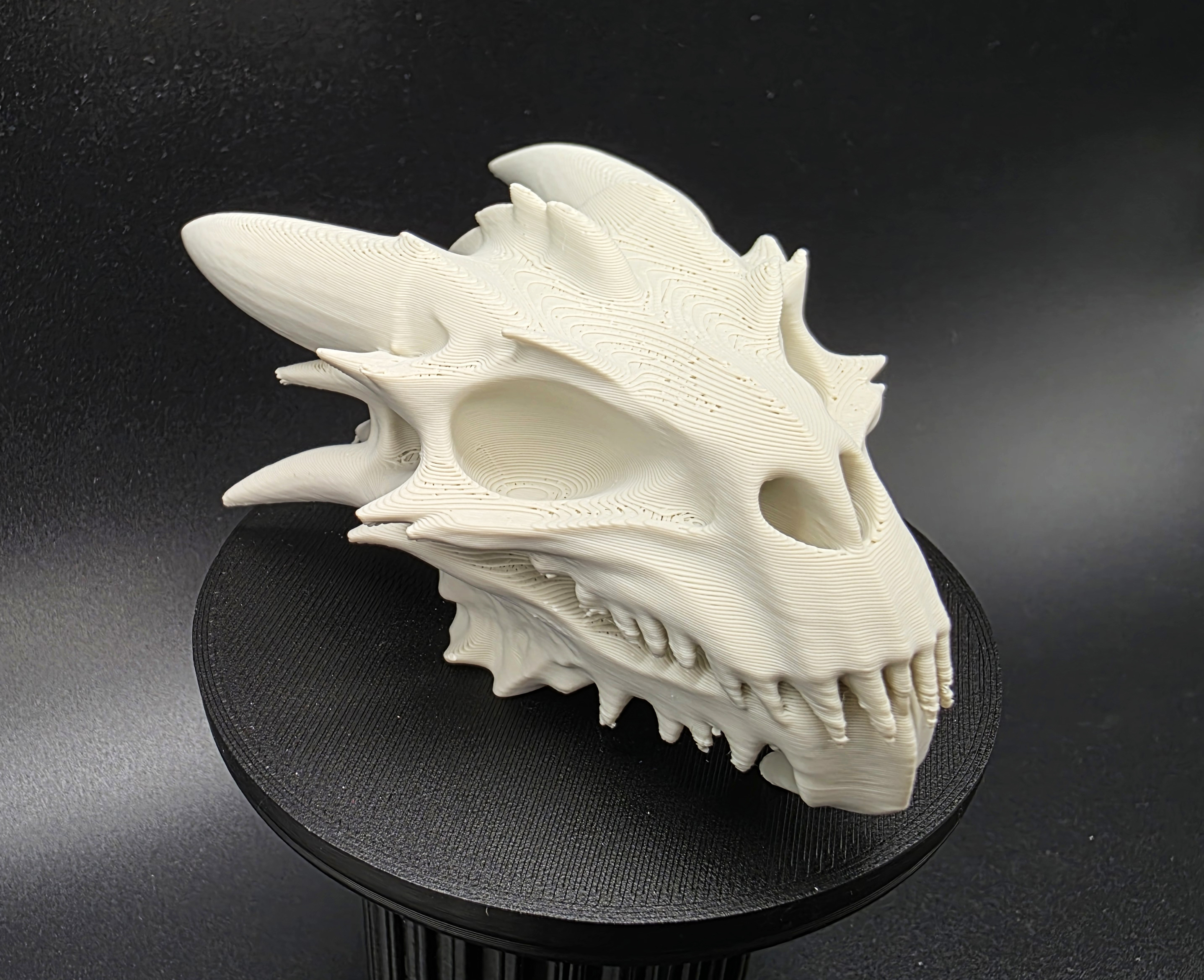 Miniatura 5 do modelo 3D Dragonkin Skull