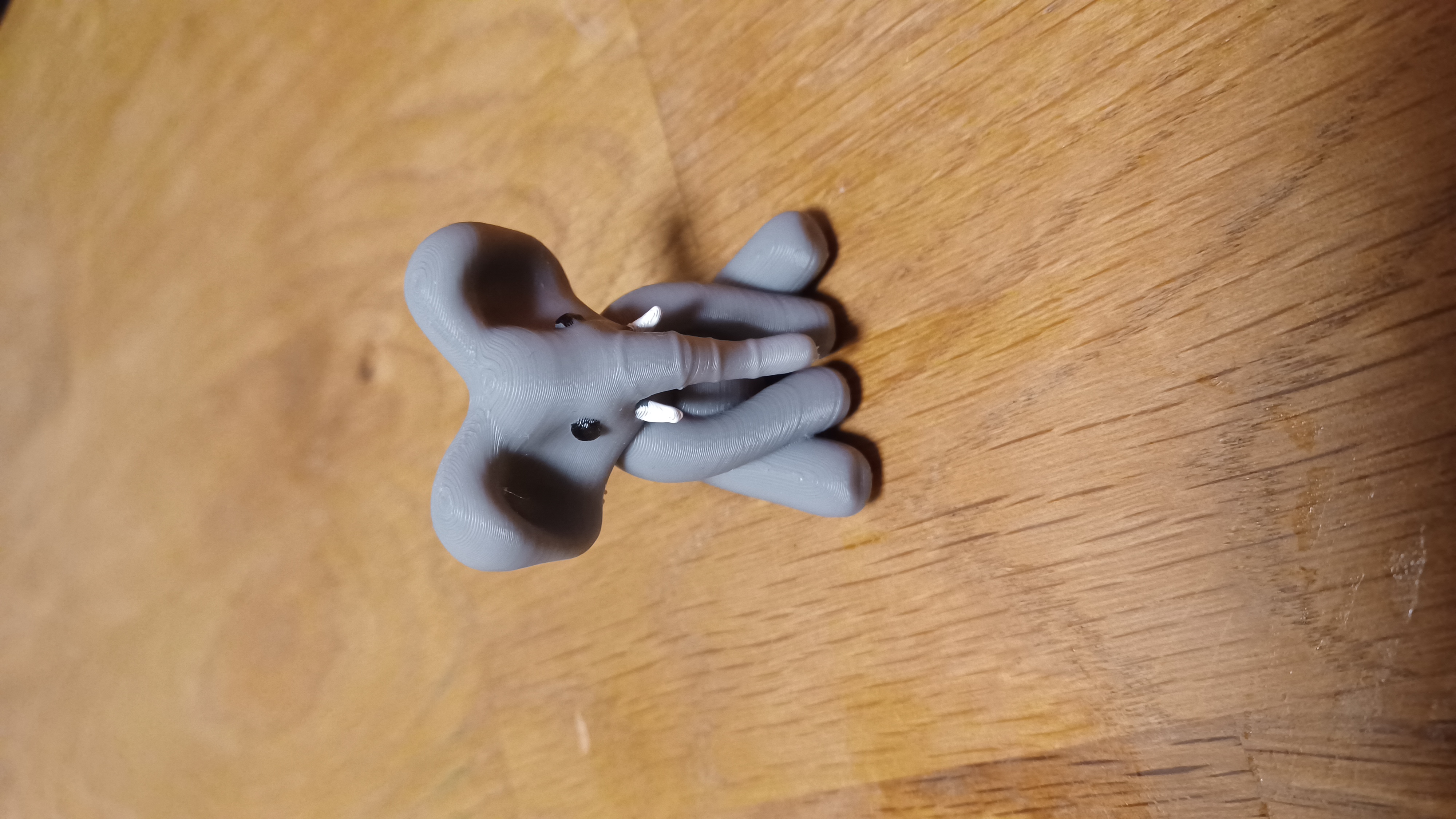 Cute Elephant