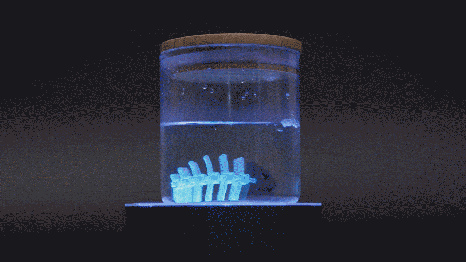 Robotic Creatures — miniatura 3
