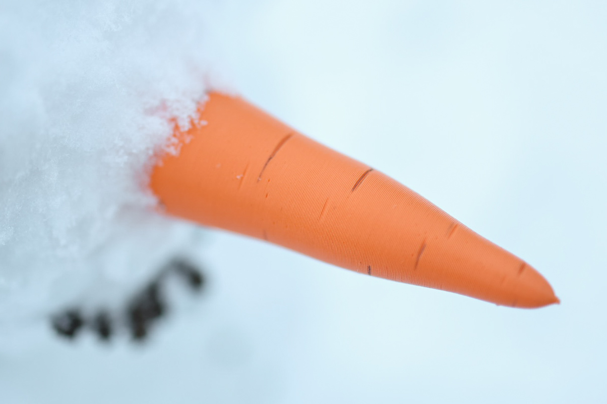 Carrot nose for the snowman