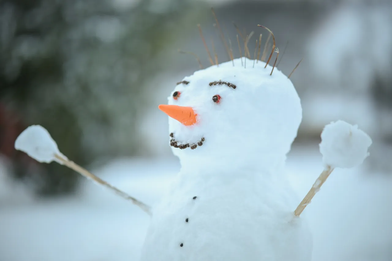 carrot-nose-for-the-snowman-by-mg-grafik-design-download-free-stl