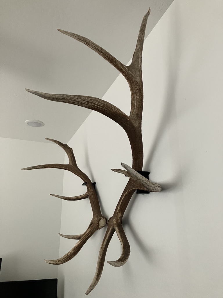 Elk Shed Mounts