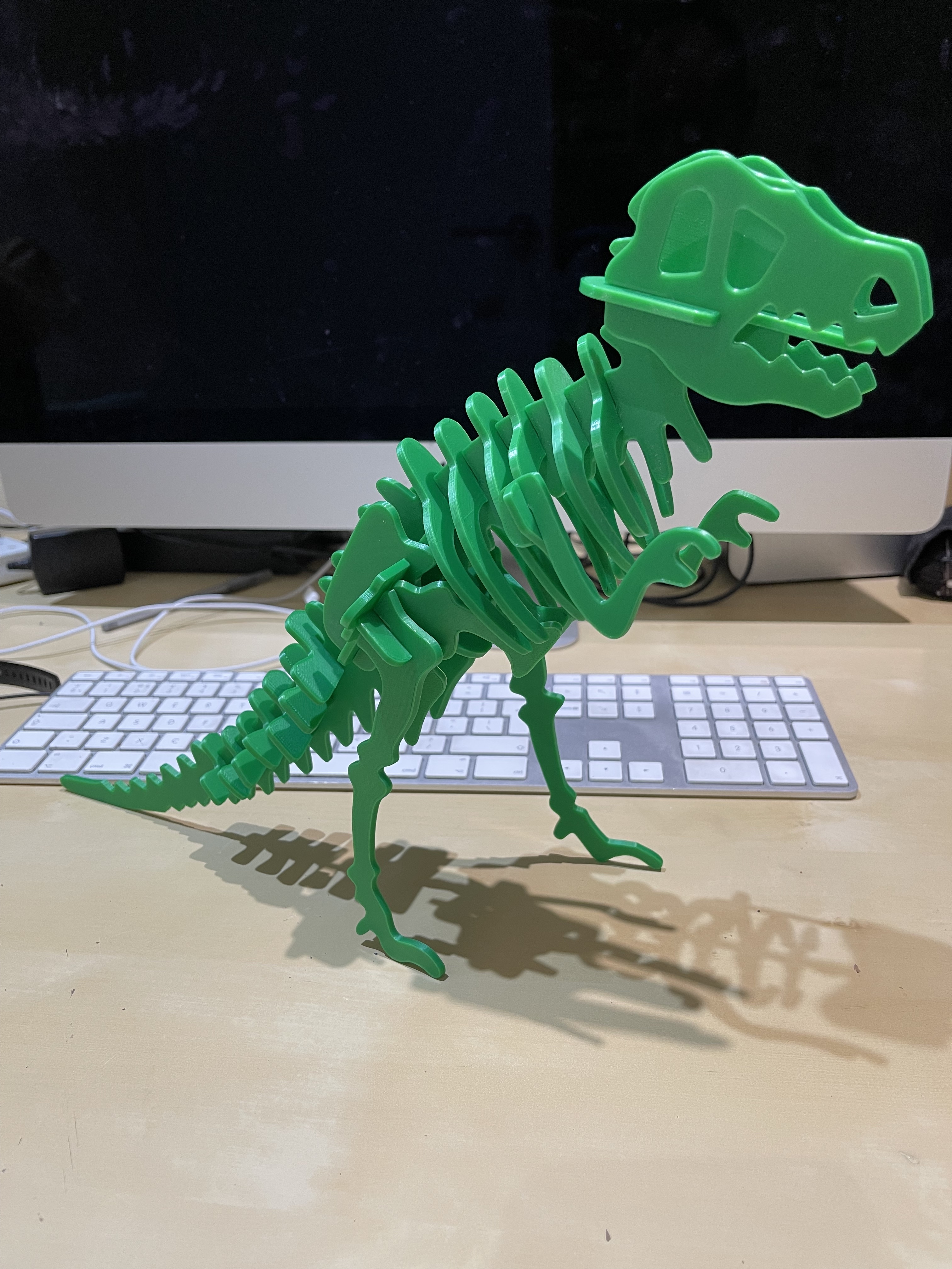 T Rex dinosaur skeleton model