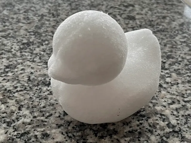 Snow Duck from Kimgooni