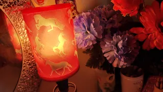 Horse lampshade (Customisable)