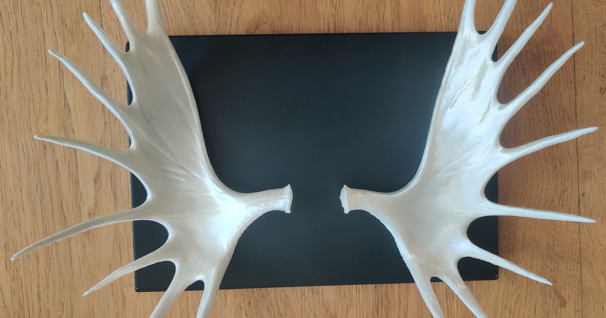 Moose antlers (part 2) by N Grim Download free STL model