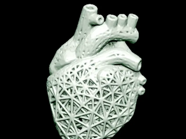 Mesh Heart